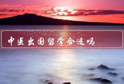 中医出国留学合适吗，专业培养／学术交流／文化传承