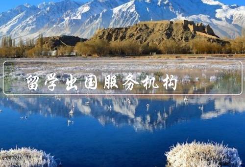 留学出国服务机构，留学申请指导、签证办理支持、文化适应辅导