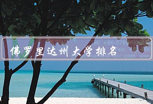 佛罗里达州大学排名，学术声誉／研究实力／综合排名