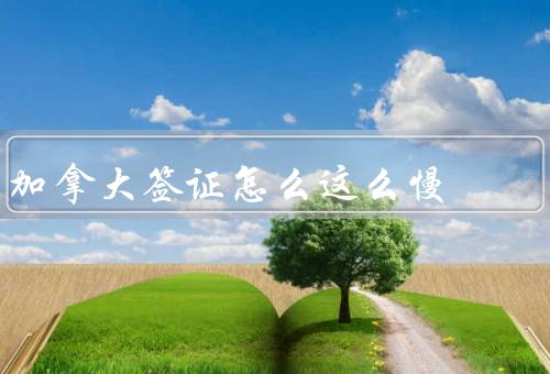 加拿大签证怎么这么慢，签证申请数量过多、严格的审核流程