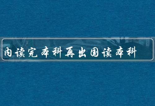 国内读完本科再出国读本科，学术优势／文化体验／就业竞争力