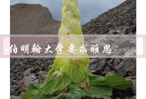伯明翰大学要求雅思，伯明翰大学的雅思要求