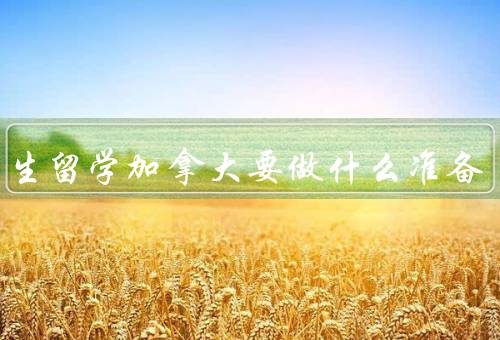小学生留学加拿大要做什么准备（学习英语、适应新环境）