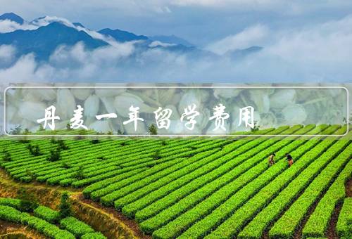 丹麦一年留学费用，学费／生活费／其他费用