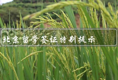 北京留学签证特别提示，申请材料／申请流程／延期