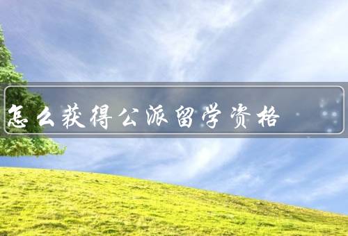 怎么获得公派留学资格（条件、选择合适的留学项目、和选拔过程）