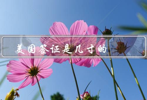 美国签证照片是几寸的，尺寸／其他要求／要求的重要性