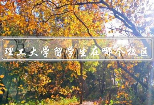 北京理工大学留学生在哪个校区（校区、服务、社团）