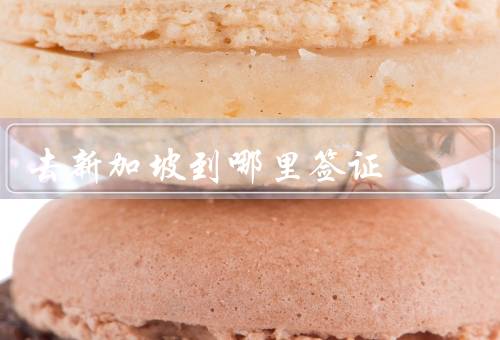 去新加坡到哪里签证，中国大陆签证、香港签证、澳门签证