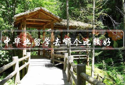 初中毕业留学去哪个比较好
