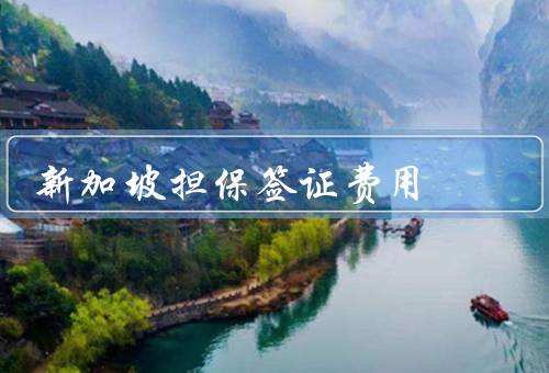 新加坡担保签证费用，新加坡担保签证费用、费用支付方式、其他费用