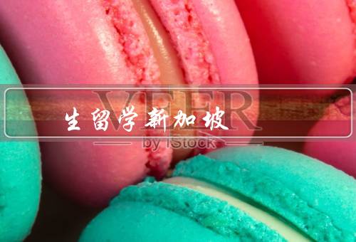 专科生留学新加坡，条件、费用、生活
