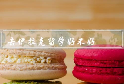 去伊拉克留学好不好（文化交流、教育质量、就业前景）
