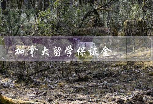 加拿大留学保证金，金额／支付方式／退还