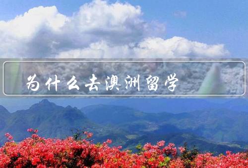 为什么去澳洲留学，教育质量高、优秀的研究机会