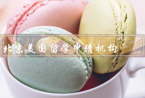 北京美国留学申请机构，服务内容、专业团队、优势
