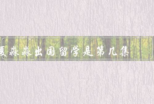 夏淼淼出国留学是第几集，夏淼淼的决定／留学之路的挑战