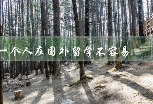 一个人在国外留学不容易（语言障碍、文化差异、生活适应）