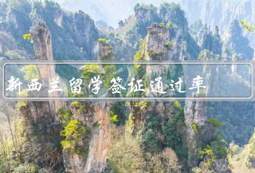 新西兰留学签证通过率