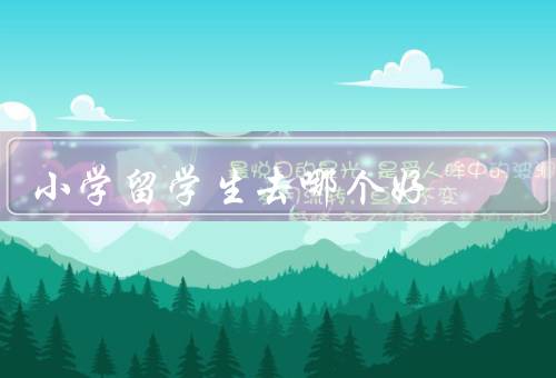 小学留学生去哪个国家好，美国、英国、加拿大