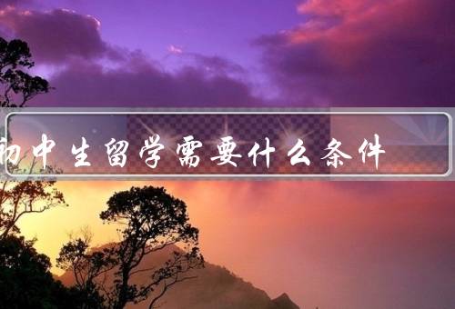 初中生留学需要什么条件，学业成绩优秀／英语基础扎实