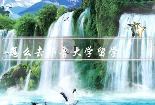怎么去耶鲁大学留学（申请流程、学术准备、生活准备）