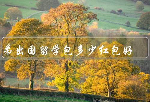 堂弟出国留学包多少红包好（数额、形式、送的时间）