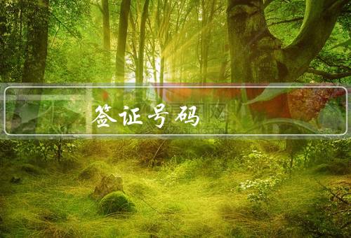 签证号码