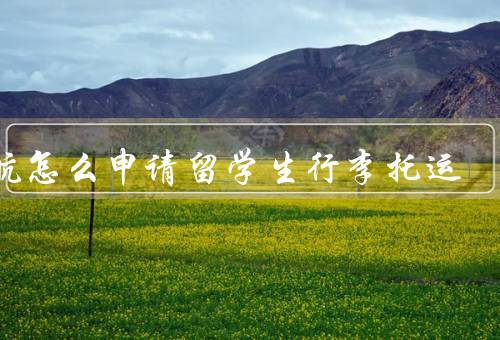 南航怎么申请留学生行李托运，条件、流程、注意事项