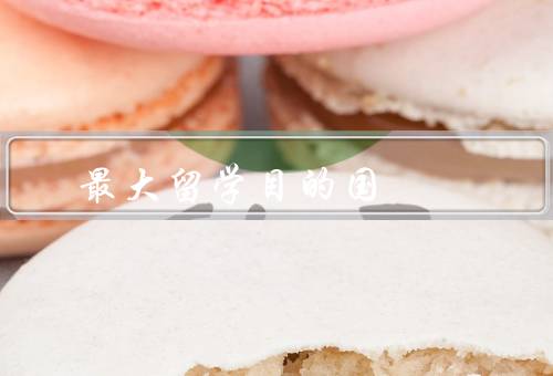 亚洲最大留学目的国，教育体系／文化和历史／经济发展