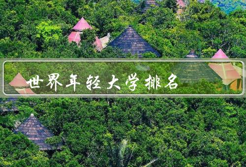 世界年轻大学排名（背景、方法、解读）