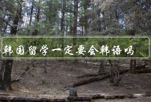 去韩国留学一定要会韩语吗（语言环境、学习效果、交流和社交）