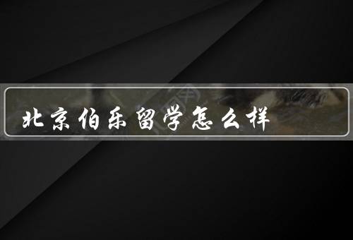 北京伯乐留学怎么样（专业的咨询团队、个性化的服务）
