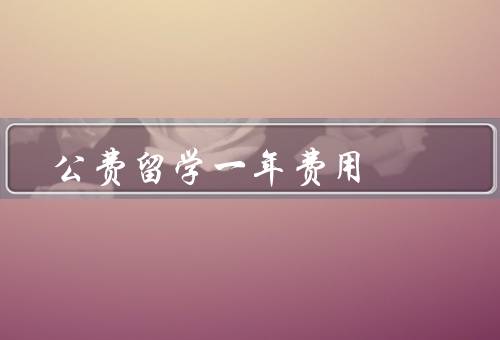 公费留学一年费用