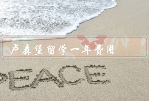 卢森堡留学一年费用