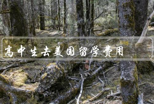 高中生去美国留学费用（学费／生活费／签证费和其他费用）