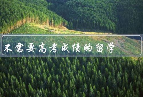 不需要高考成绩的留学国家（新西兰／荷兰／加拿大）