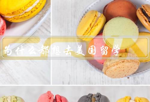 为什么都想去美国留学
