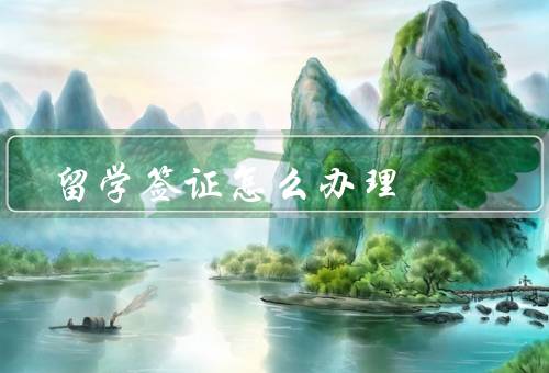 留学签证怎么办理（准备材料、在线申请、面签与审核）
