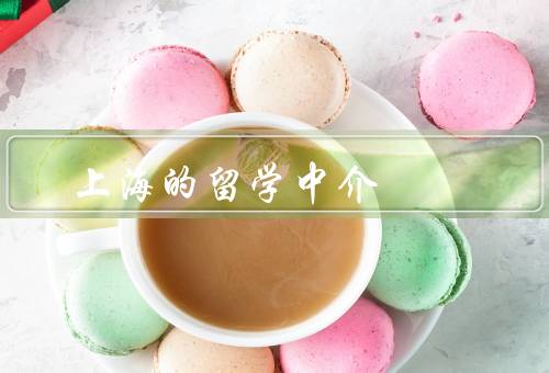 上海的留学中介，专业指导／个性化服务／丰富资源