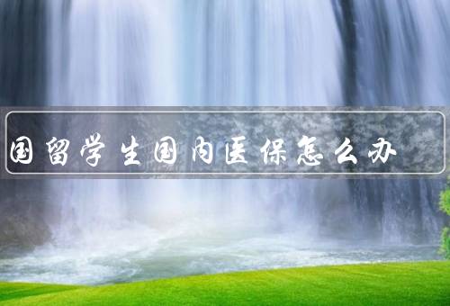 出国留学生国内医保怎么办（前期准备、选择适合方案、步骤）