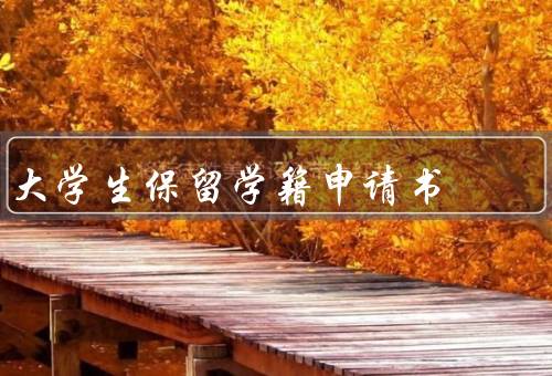 大学生保留学籍申请书，减轻学业压力、处理个人问题、保障学生权益