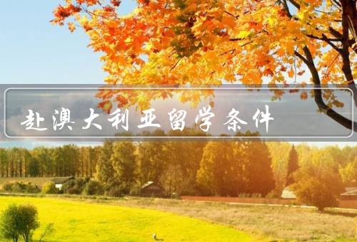 赴澳大利亚留学条件，留学签证／学历要求／语言要求