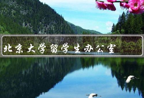 北京大学留学生办公室电话，电话／职责／服务