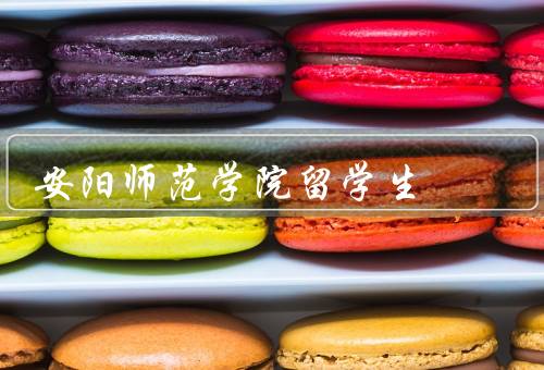 安阳师范学院留学生（学术表现、文化交流、社会贡献）