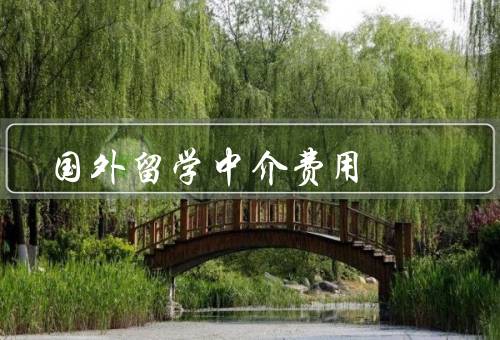 国外留学中介费用，组成／合理性／如何节约