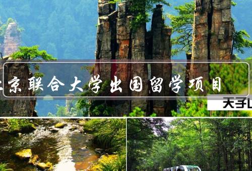 北京联合大学出国留学项目（背景／特点／实施情况）