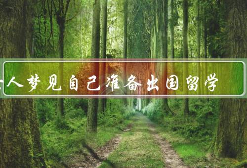 女人梦见自己准备出国留学，自我成长与发展、追求新的知识和技能