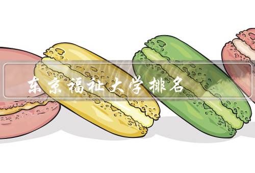 东京福祉大学排名（学术排名／师资力量／教学设施和资源）