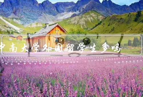 中南大学外国留学生多吗（数量、专业分布、生活支持）